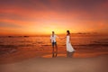 bride and groom on a tropical beach with the sunset in the background Royalty Free Stock Photo