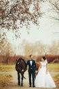 Bride and groom walk with horses in the autumn park