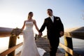 Bride and Groom walking Royalty Free Stock Photo