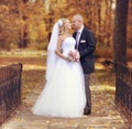 Bride and groom walking in autumn park Royalty Free Stock Photo