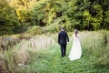 Bride and groom walking in forest Royalty Free Stock Photo