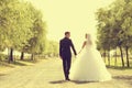 Bride and groom walking and holding hands Royalty Free Stock Photo