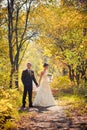 Bride and groom walking in nature summer