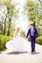 Bride and groom walking in the park holding hands Royalty Free Stock Photo