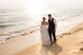 Bride and Groom walking at Sunset on a Beautiful Tropical Beach Romantic Married Royalty Free Stock Photo