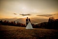 Bride and groom watch the sunset standing on the hill Royalty Free Stock Photo
