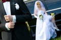 Bride and groom on wedding car background Royalty Free Stock Photo