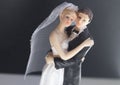 Bride groom wedding couple Royalty Free Stock Photo