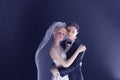 Bride groom wedding couple Royalty Free Stock Photo