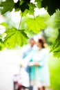 Bride and groom at wedding Day walking Outdoors on spring nature Royalty Free Stock Photo