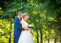 Bride and Groom at wedding Day walking Outdoors on spring nature. Royalty Free Stock Photo