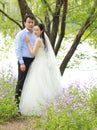 Bride and groom in wedding dress with elegant hairstyle, with white wedding dress Standingin the grass by the river Royalty Free Stock Photo
