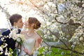 Bride and groom at the wedding kiss in spring walk Park Royalty Free Stock Photo