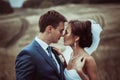 Bride and groom wedding portraits Royalty Free Stock Photo