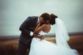 Bride and groom wedding portraits Royalty Free Stock Photo