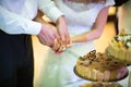 Bride and Groom at Wedding Reception Cutting Royalty Free Stock Photo