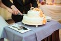 Bride and Groom at Wedding Reception Cutting Royalty Free Stock Photo