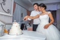 Bride and Groom at Wedding Reception Cutting the Wedding Cake Royalty Free Stock Photo