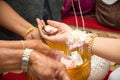 Bride, groom, wedding ring tied arms guests attended the weddin Royalty Free Stock Photo
