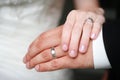 Bride and Groom Wedding Rings Royalty Free Stock Photo