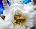 Bride and groom wedding rings on flower bouquet Royalty Free Stock Photo