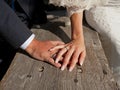 The bride and groom in wedding suits hold hands on the background of a wooden board.