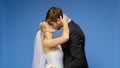The bride and groom in wedding suits kiss on a blue background. Wedding Royalty Free Stock Photo