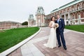 Bride and groom at a wedding a walk Royalty Free Stock Photo