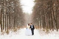 Bride and groom on a winter park Royalty Free Stock Photo