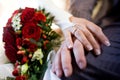 Bride and Groom& x27;s Hands with Wedding Rings and Lush Red Rose Bouquet in Foreground Royalty Free Stock Photo