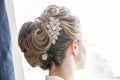 Bride hairstyle formal updo backview Royalty Free Stock Photo