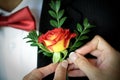 Bride hands pinning boutinnierre on fathers jacket Royalty Free Stock Photo