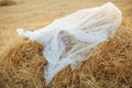 Bride in hay stack Royalty Free Stock Photo