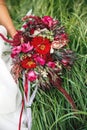 bride holding a bouquet of red flowers of zinnias Royalty Free Stock Photo