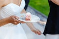 Bride holding delicious wedding cake Royalty Free Stock Photo