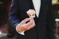 The bride holding in hand close-up the groom`s buttonhole flowers with white roses, and green and greenery Royalty Free Stock Photo