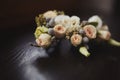 The bride holding in hand close-up the groom`s buttonhole flowers with white roses, and green and greenery Royalty Free Stock Photo