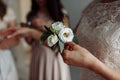 The bride holding in hand close-up the groom`s buttonhole flowers with white roses, and green and greenery Royalty Free Stock Photo