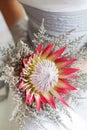 Bride holding her beautiful protea flower bouquet