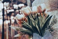 Bride holding white elegant modern autumn wedding bouquet. Royalty Free Stock Photo