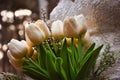 Bride holding white elegant modern autumn wedding bouquet. Royalty Free Stock Photo