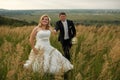 Bride holds groom's hand walking around the field Royalty Free Stock Photo