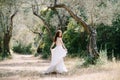 Bride holds the hem of the wedding dress in her hands in the olive grove Royalty Free Stock Photo
