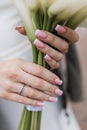 the bride holds a wedding bouquet of flowers in her hands Royalty Free Stock Photo