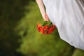 The bride holds a wedding bouquet orange