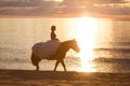 Bride on a horse at sunset by the sea