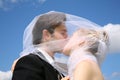 Bride kisses Royalty Free Stock Photo
