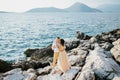 Bride kisses groom on the cheek standing on the rocks by the sea Royalty Free Stock Photo