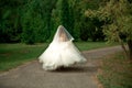 The bride in a lavish wedding dress Royalty Free Stock Photo