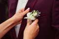 Bride pins white boutonniere to groom& x27;s wine jacket Royalty Free Stock Photo